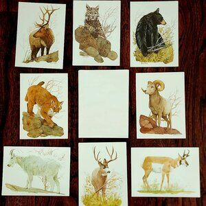 8 x Vintage Rocky Mountain Wildlife Ecology Blank Cards from Current, Inc w Enve